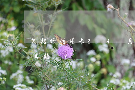 欠招行信用卡2萬4個月說起訴？真的嗎？